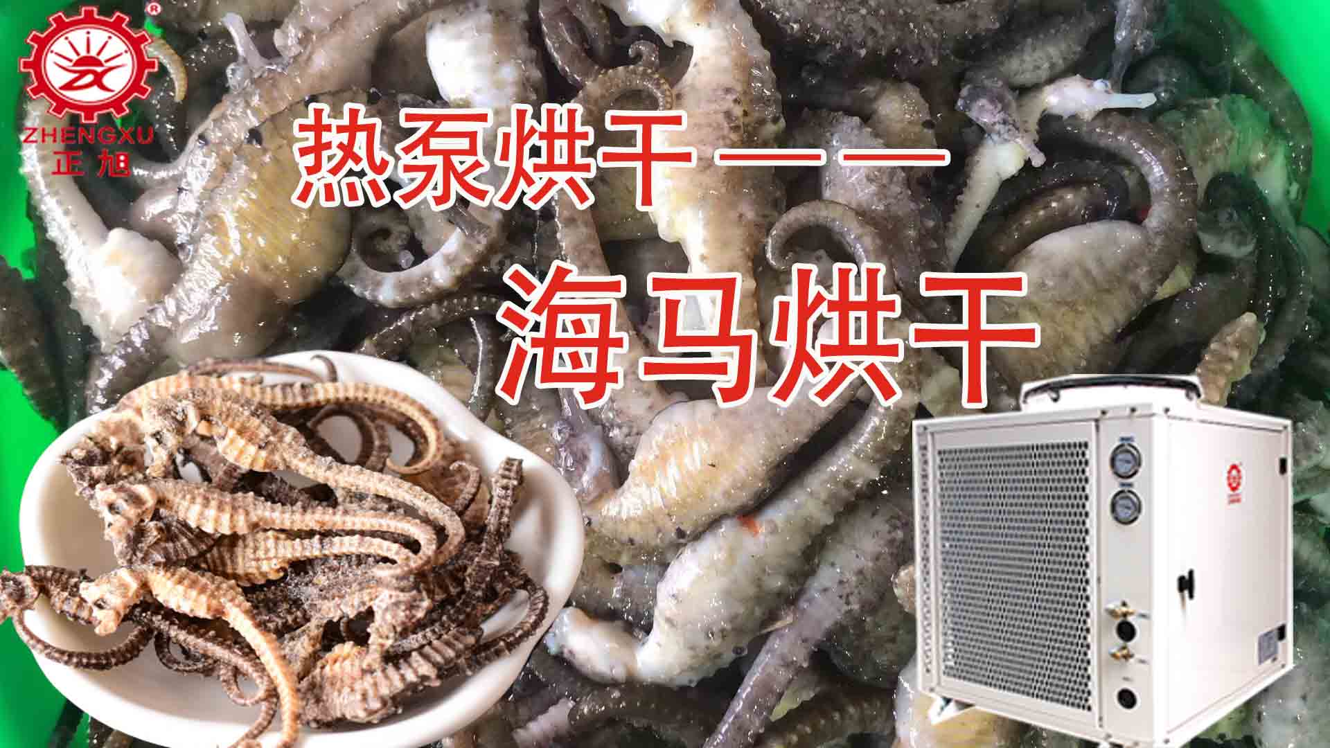海馬熱泵烘干方法詳解（含研粉、清洗、宰殺、烘干時(shí)間）